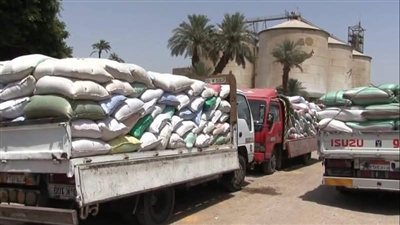 توريد 184.5 ألف طن قمح في سوهاج مع استمرار الاستلام حتى أغسطس