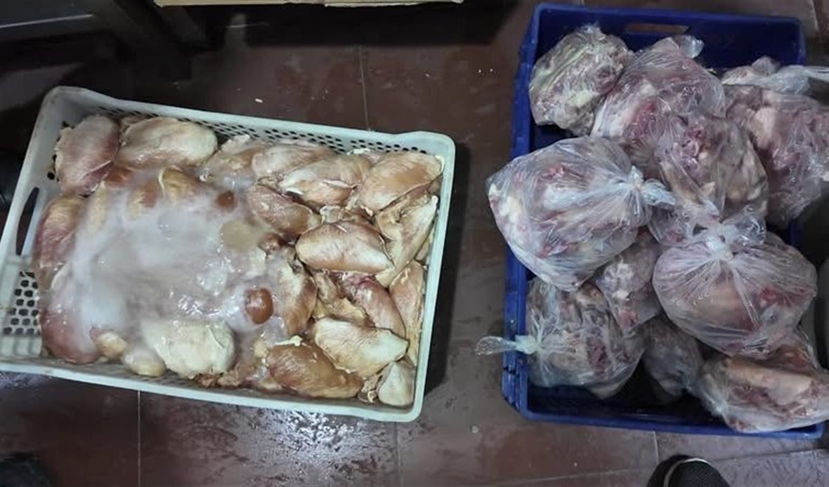 ضبط نصف طن من الدواجن