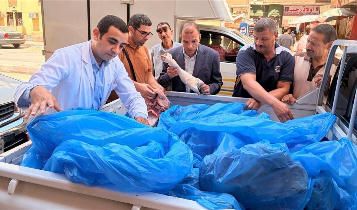 مديرية الطب البيطري