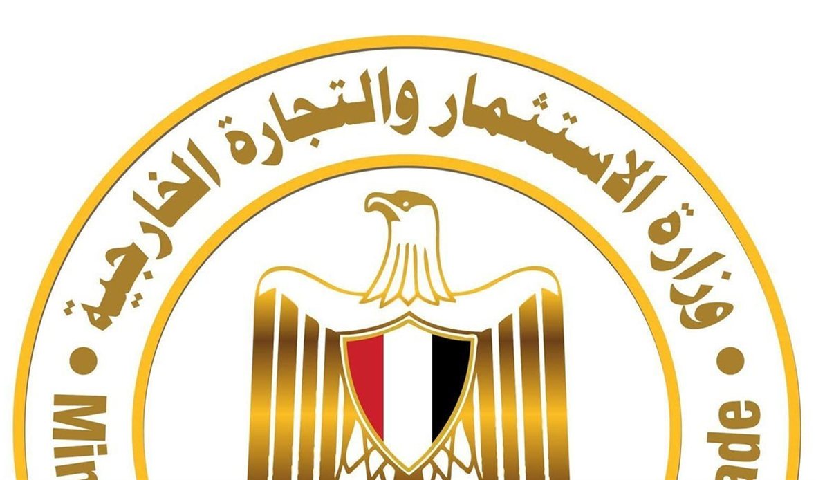 وزارة الاستثمار تطالب