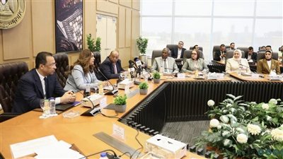 إطلاق خدمة تراخيص المحال العامة عبر منصة مصر الرقمية بتخفيض الرسوم 50%