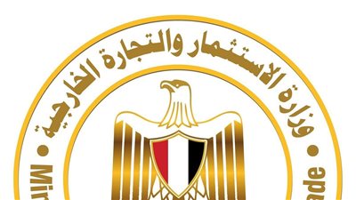 وزارة الاستثمار تطالب الشركات بالالتزام بمواعيد تقديم بيانات الاستثمار الأجنبي المباشر والقوائم المالية