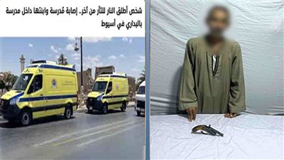 إصابة موظفة وطفلتها بطلق ناري داخل مدرسة بأسيوط